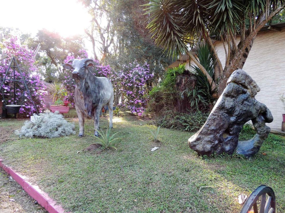 Pousada Juriti - Eco Hotel São Roque Εξωτερικό φωτογραφία